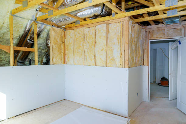 Best Commercial Insulation in Mountain View, AR